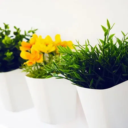 Precioso Recien Reformado En Lägenhet *