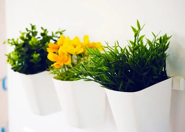 Precioso Recien Reformado En Apartment *